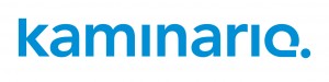 Kaminario_blue logo